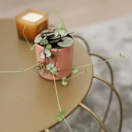 Urban Corner House *